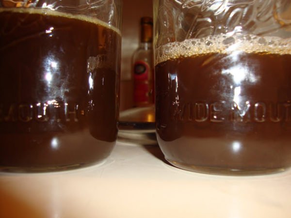 ayahuasca for sale